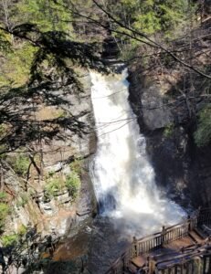 Bushkill Falls