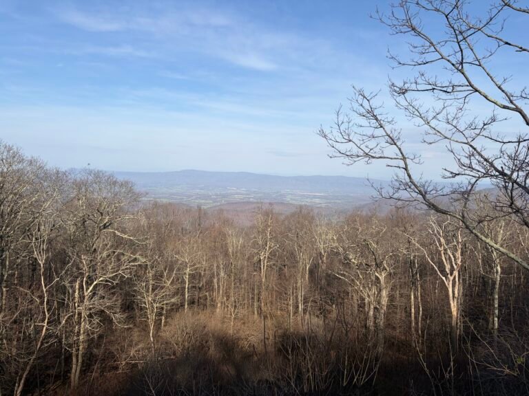 Shenandoah Valley