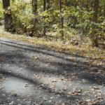 Fall walk through park